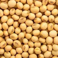 Soybeans