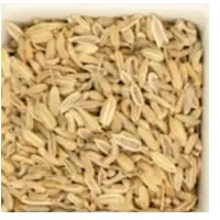 Fennel Seeds