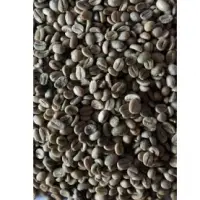 Robusta Coffee