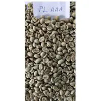 Arabica Plantation - Varients