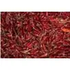 Red Chili