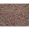 Mustard Seeds