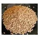 Fenugreek Seeds