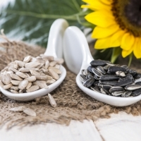 Sunflower Seeds