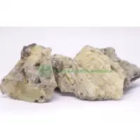 ASM Damar Gum