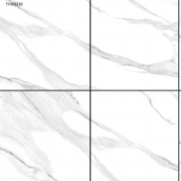 Digital Glazed Vitrified Tiles
