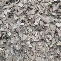 Coconut Shell