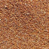 Teff Grain Brown