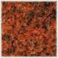 English red