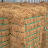 Coir Fiber
