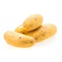 Potato