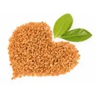 Fenugreek Seeds