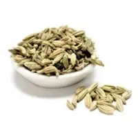 Fennel Seeds