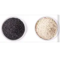 Sesame Seeds