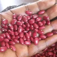 Kidney Beans