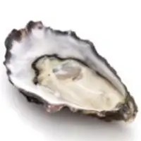 Sydney Rock Oysters