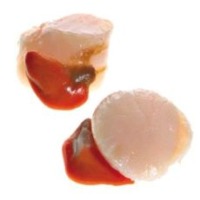 Scallops