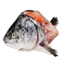 Salmon Heads
