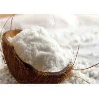 Coconut Powder