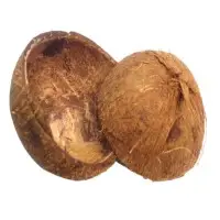 Coconut Shell