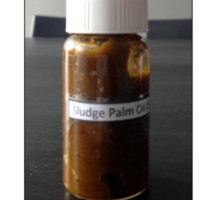 Palm Sludge Oil (SPO)