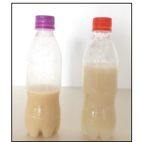 Fatty Acid Methyl Ester (FAME)