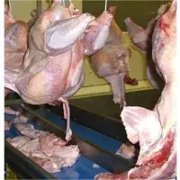 Meat