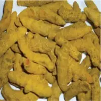 Dry Turmeric
