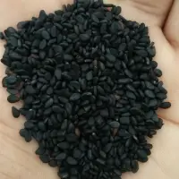 Natural Sesame Seeds