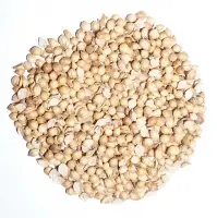 Coriander Seeds