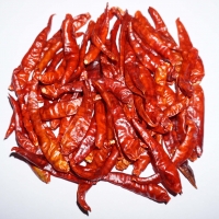 Dry Red Chilli