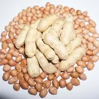 Peanut InshellPeanut Inshell