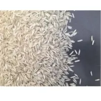Pusa Basmati 1121 Steam Rice