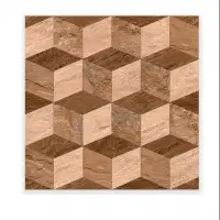 2411 Digital Ceramic Floor Tiles