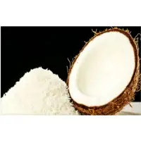Desiccated Coconut Powder