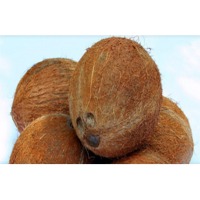Farm Fresh Semi Husked Coconut