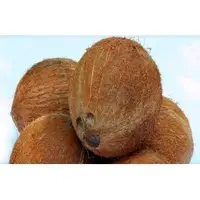 Farm Fresh Semi Husked Coconut