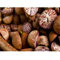 Betel Nut