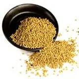 Yellow mustard seed