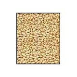Sesame seeds