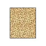 Sesame seeds