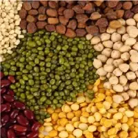 Pulses