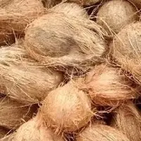 Coconuts