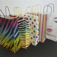 Generic Paper Bags For Gifting
