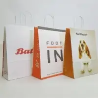 Customised Paper Bags For Retail Industry