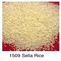 1509 Sella Rice