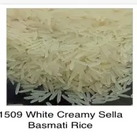 1509 White Creamy Sella Basmati Rice