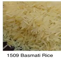 1509 Basmati Rice