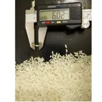 Indian Non Basmati Rice