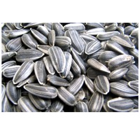 Sunflower seeds